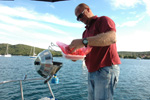 Grillen im Bojenfeld - Yachtcharter Schweden, Mitsegeln Schweden