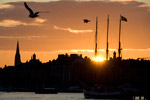 Stockholm Sunset - Yachtcharter Schweden & Mitsegeln