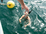 Rettungsaktion Bootshaken - Yachtcharter Schweden, Mitsegeln Schweden