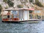 Fresh mussels - Yachtcharter Schweden, Mitsegeln Schweden