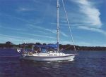 klassische schwedische Segelyacht: Hallberg Rassy 36 zum Chartern im Stockholmer Schärengarten