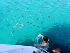 2011 Mitsegeln in Schweden und Kroatien