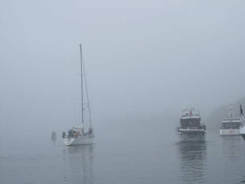 Yachtcharter Schweden Stockholmer Schärengarten