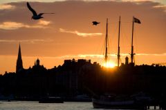Yachtcharter Schweden, Mitsegeln Schweden